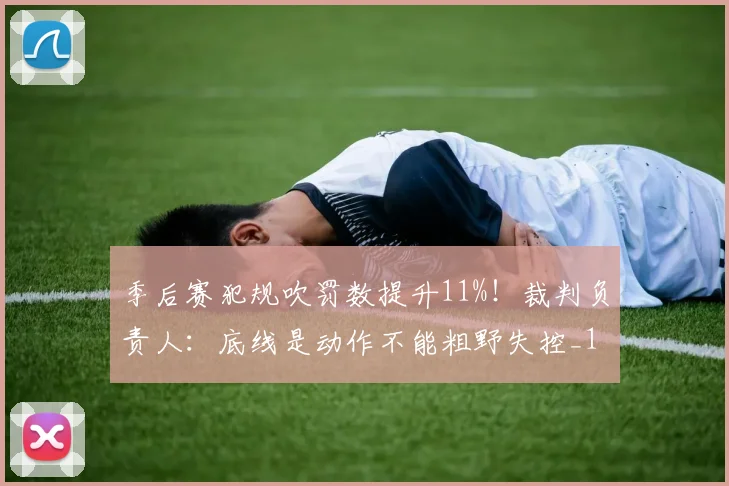 季后赛犯规吹罚数提升11%！裁判负责人：底线是动作不能粗野失控_1
