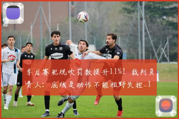 季后赛犯规吹罚数提升11%！裁判负责人：底线是动作不能粗野失控_1