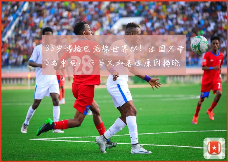 33岁博格巴无缘世界杯！法国只带5名中场，卡马文加落选原因揭晓