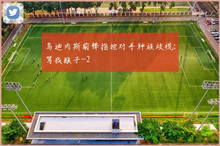 乌迪内斯前锋指控对手种族歧视：骂我猴子